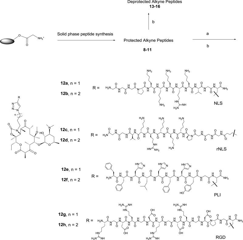 Scheme 2