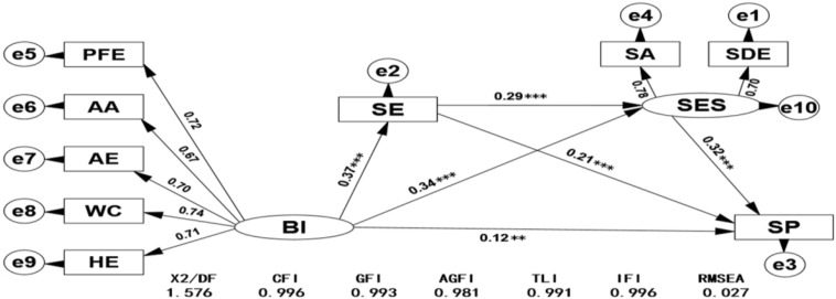 FIGURE 1