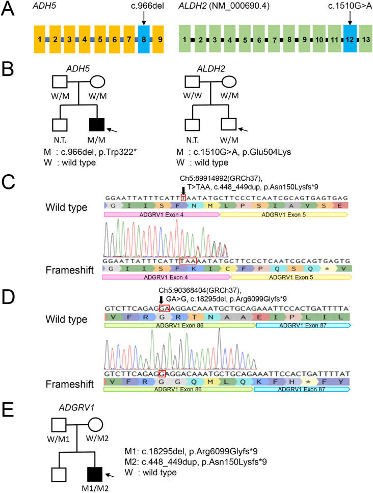 Figure 2