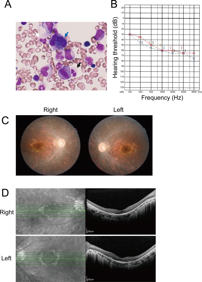 Figure 1