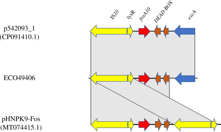 FIG 2