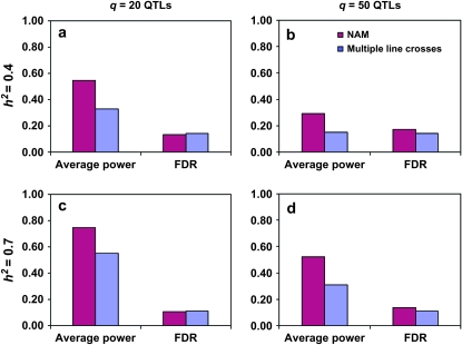 Figure 6.—