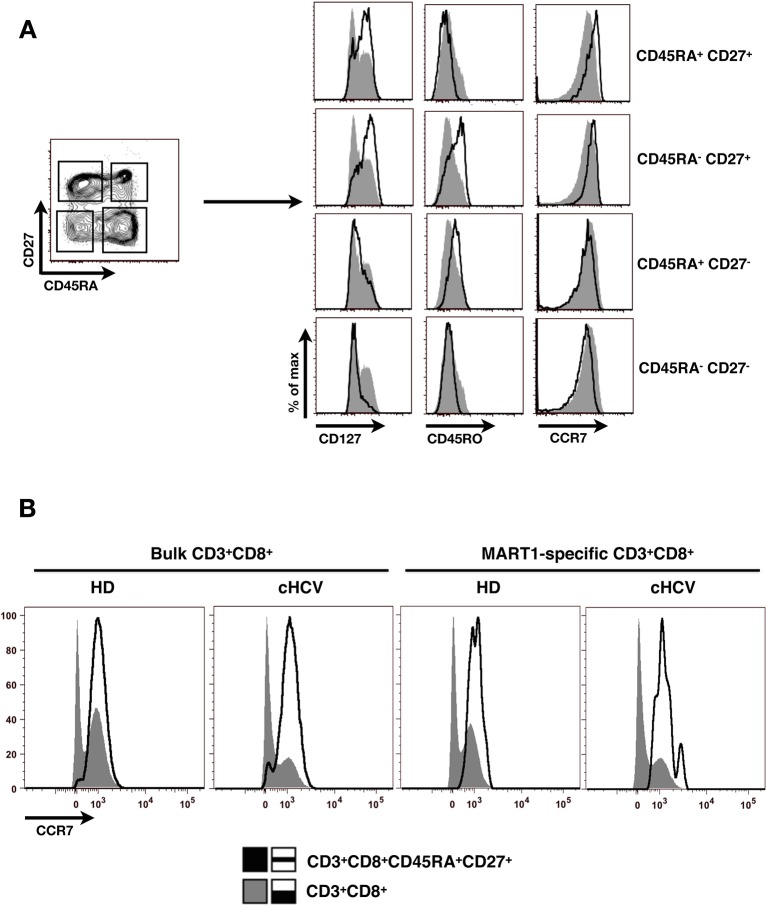 Figure 1—figure supplement 3.