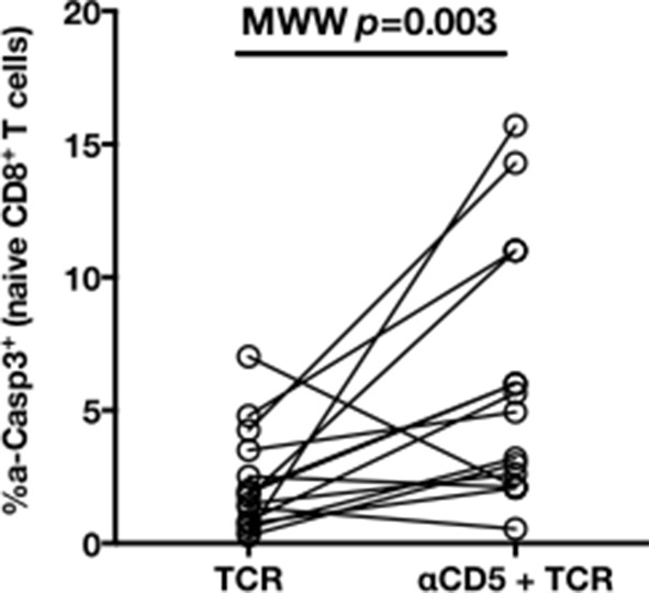 Figure 5—figure supplement 3.