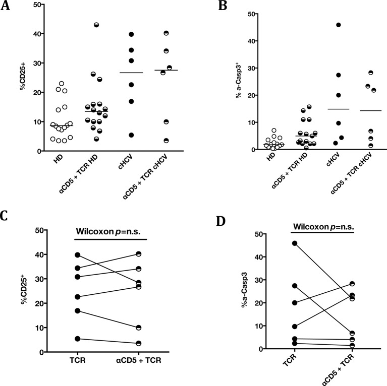 Figure 5—figure supplement 4.