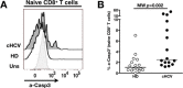 Figure 5—figure supplement 2.