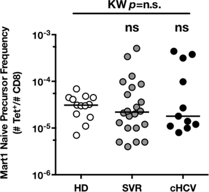 Figure 2—figure supplement 2.