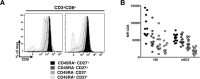 Figure 5—figure supplement 1.