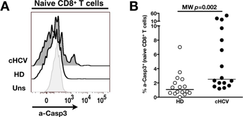 Figure 5—figure supplement 2.