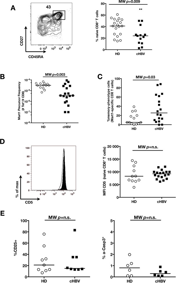 Figure 5—figure supplement 5.