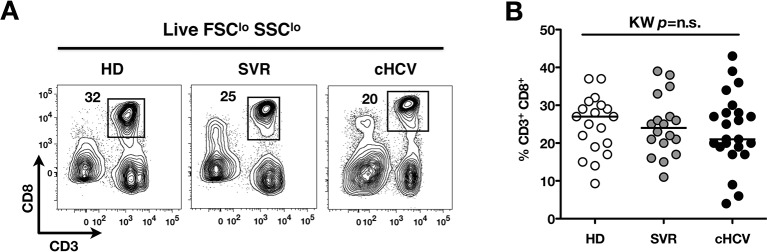 Figure 1—figure supplement 1.