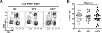 Figure 1—figure supplement 1.