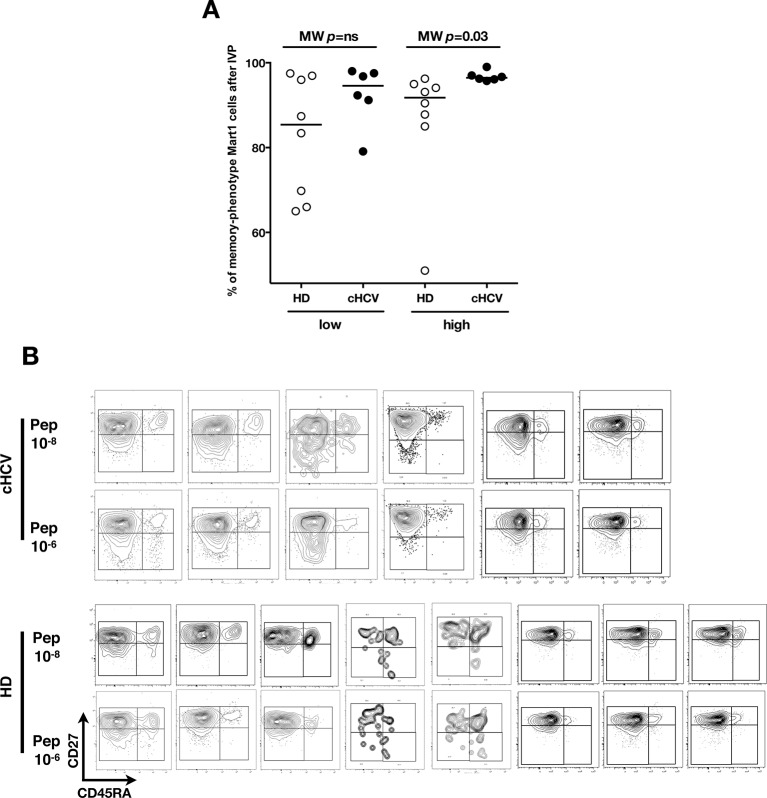 Figure 6—figure supplement 2.