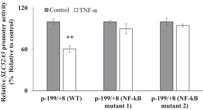 Fig. 9.