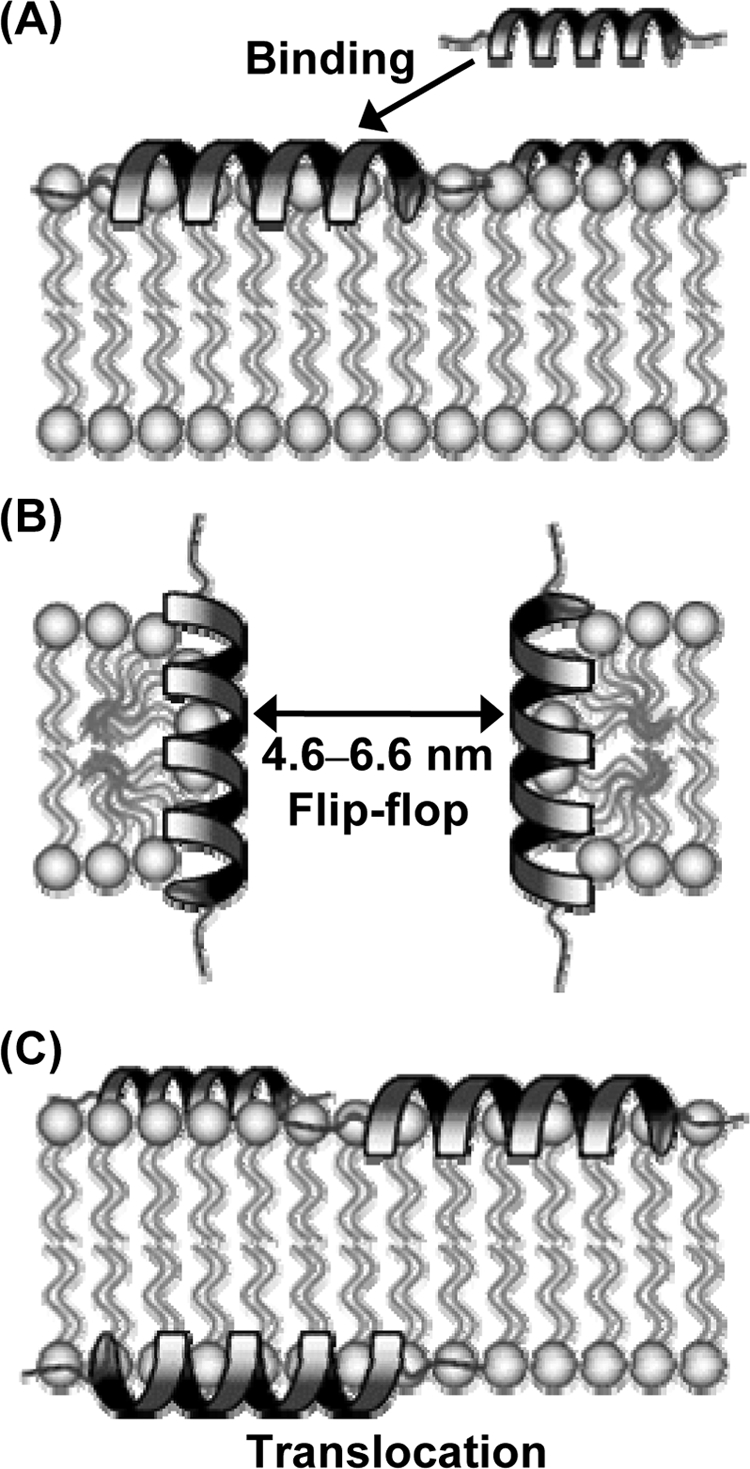 FIG. 7.