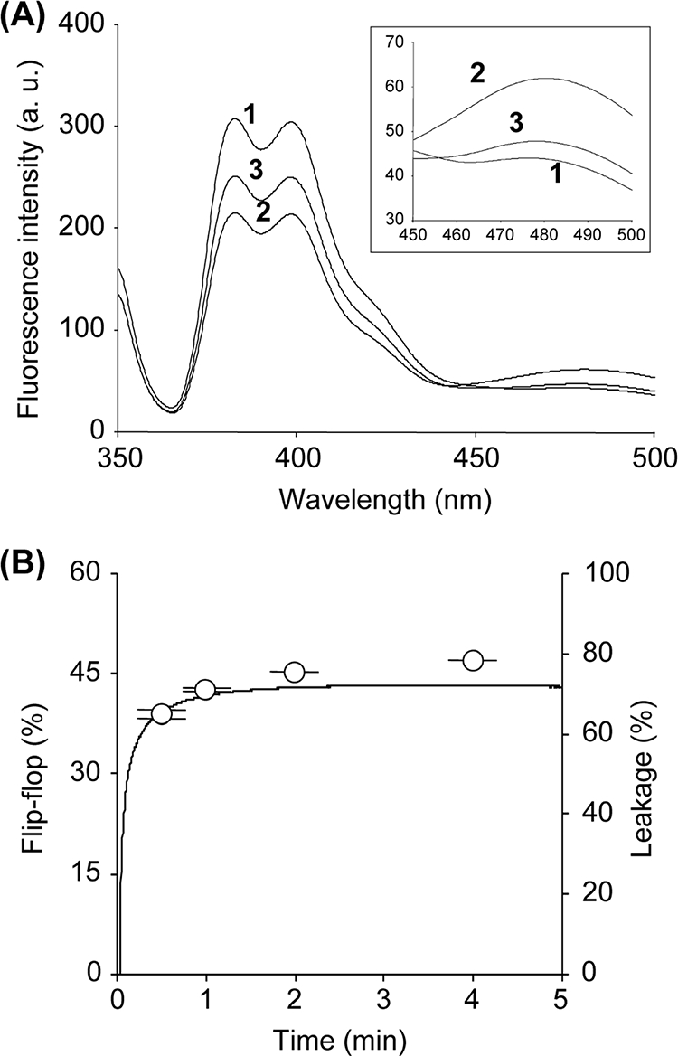 FIG. 3.