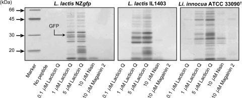 FIG. 6.