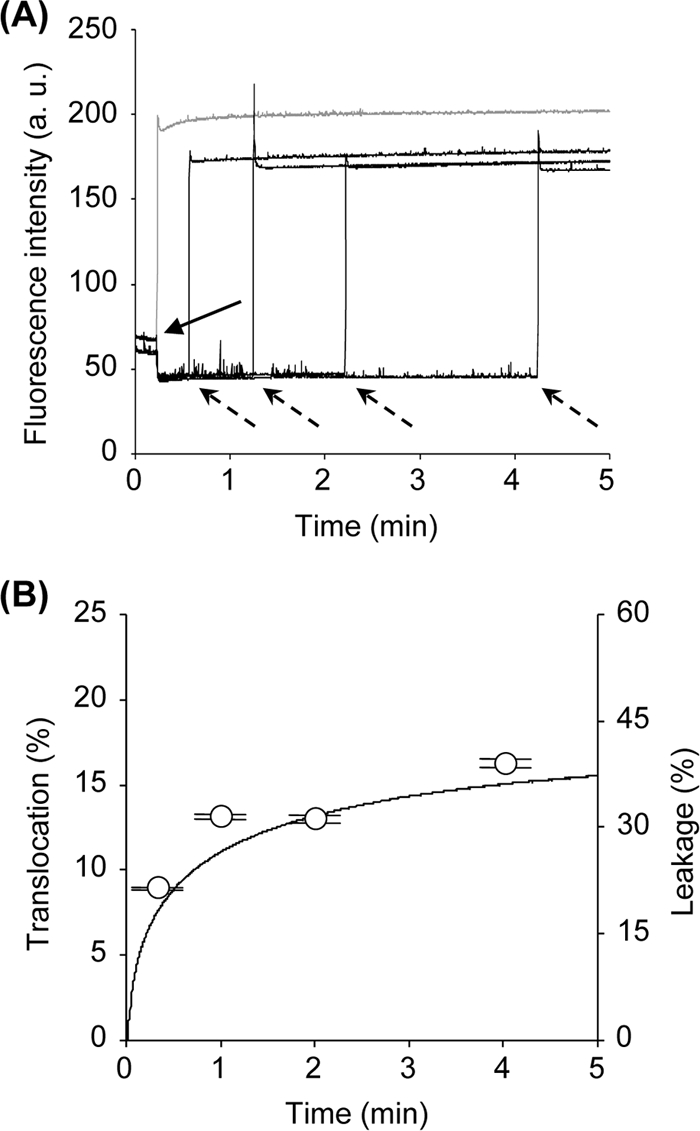 FIG. 2.