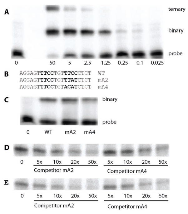 Figure 5