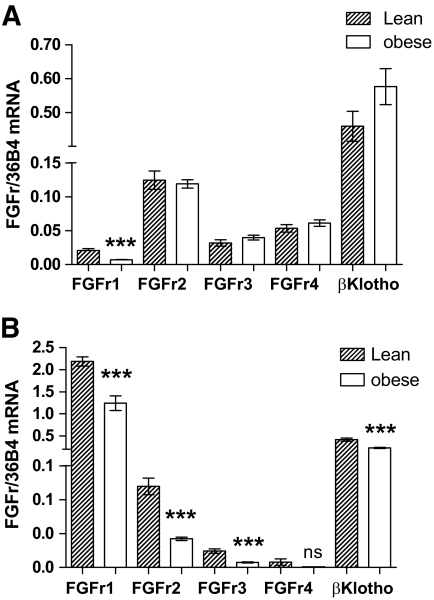 FIG. 5.