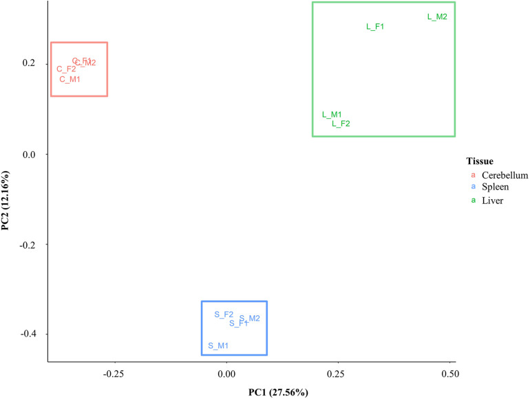 FIGURE 4