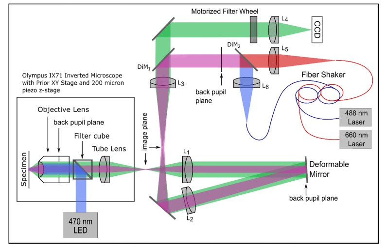 Fig. 3