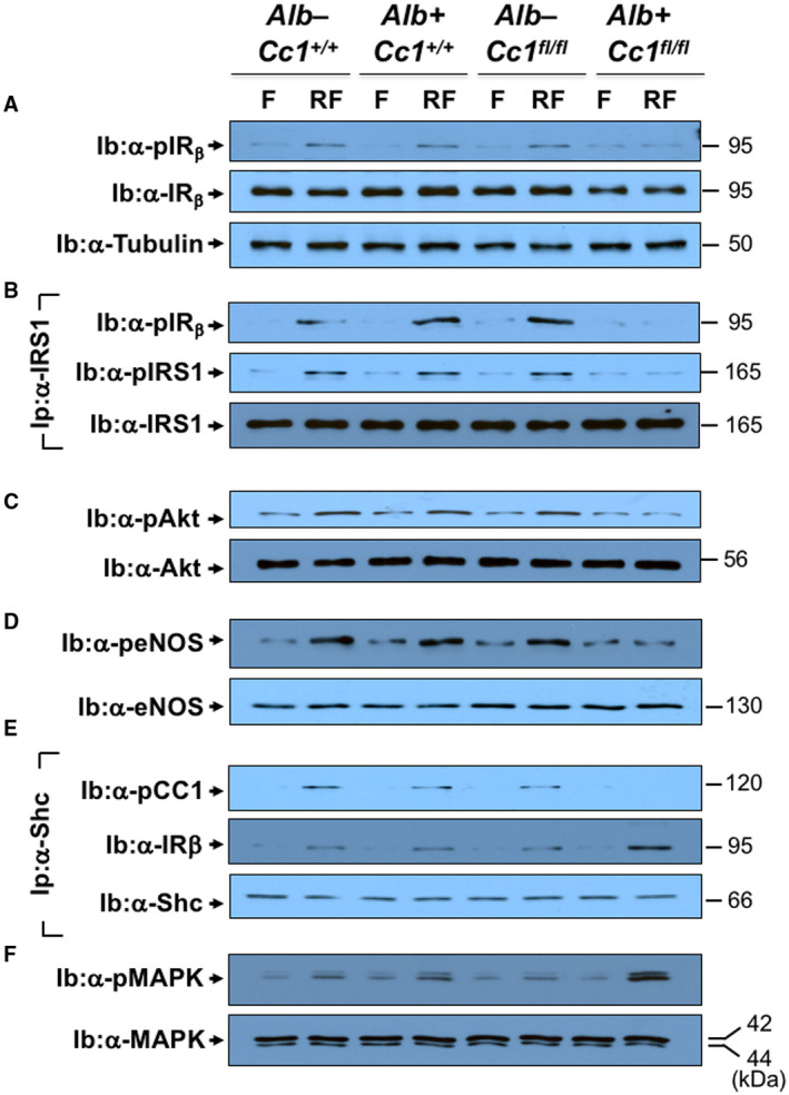 FIG. 7