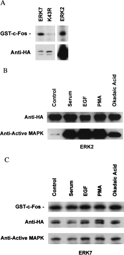 FIG. 5