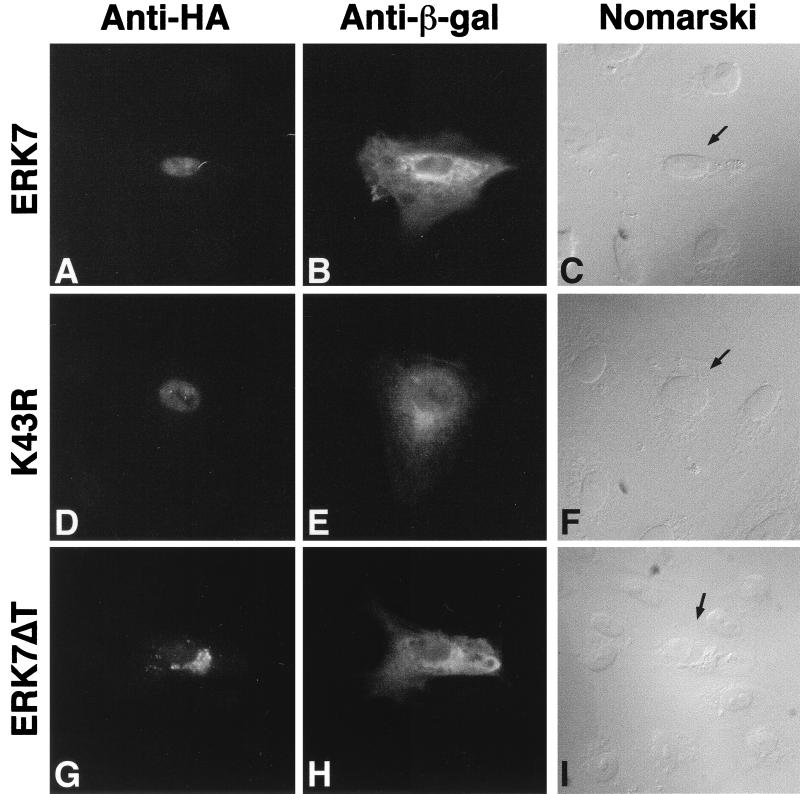 FIG. 8