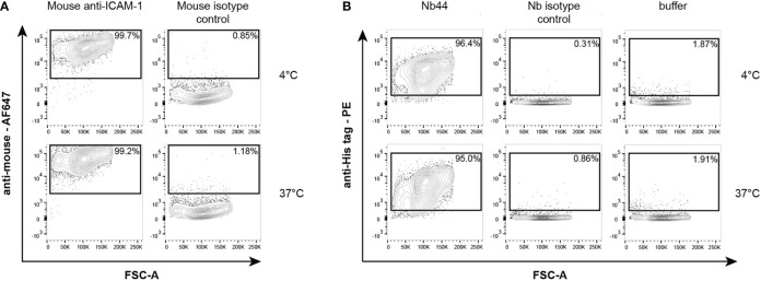 Figure 4