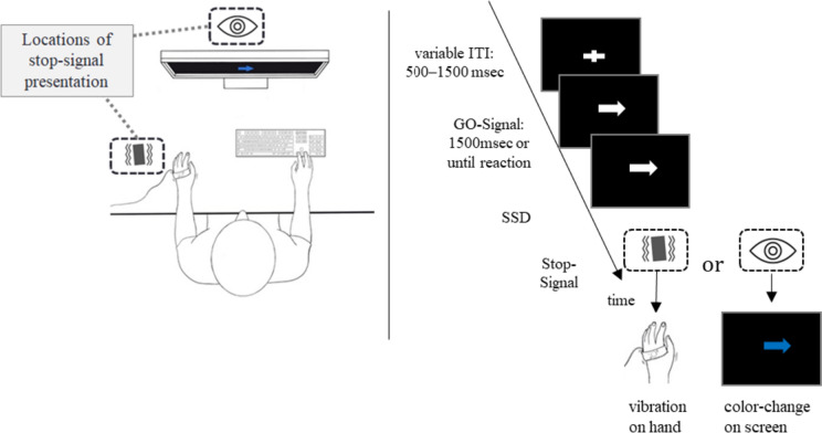 Fig. 1