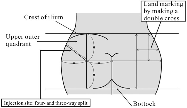 Fig. 2