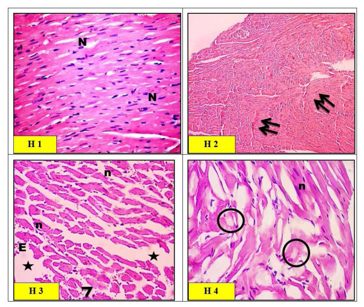 Fig. 8