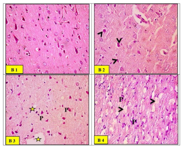 Fig. 7