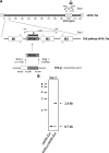 FIG. 6.
