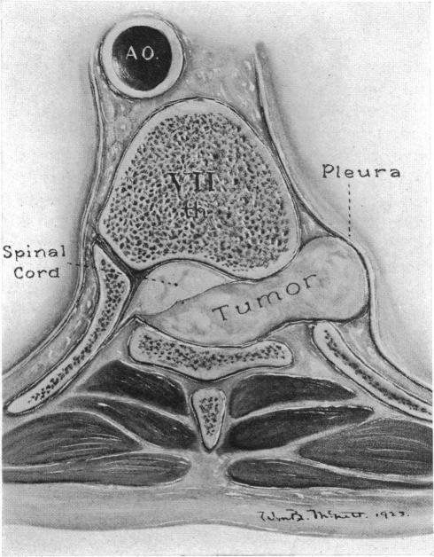 FIG. 7.