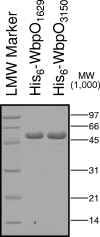FIG. 5.