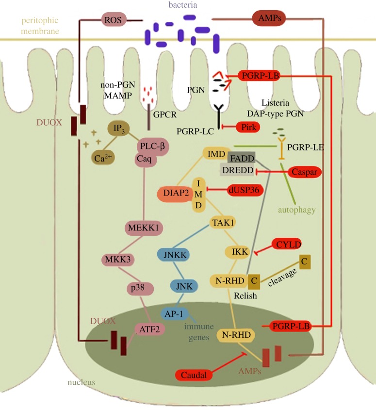 Figure 3.