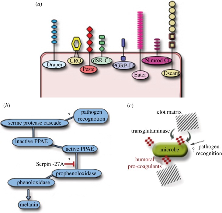 Figure 1.