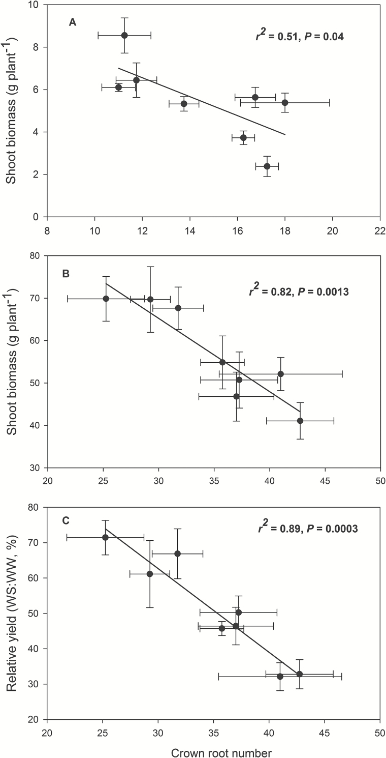 Fig. 10.