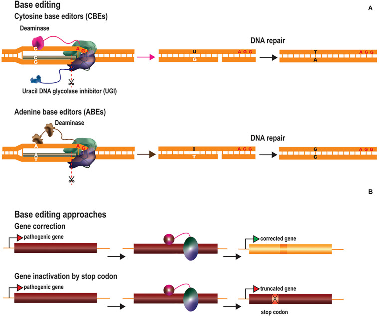 FIGURE 2