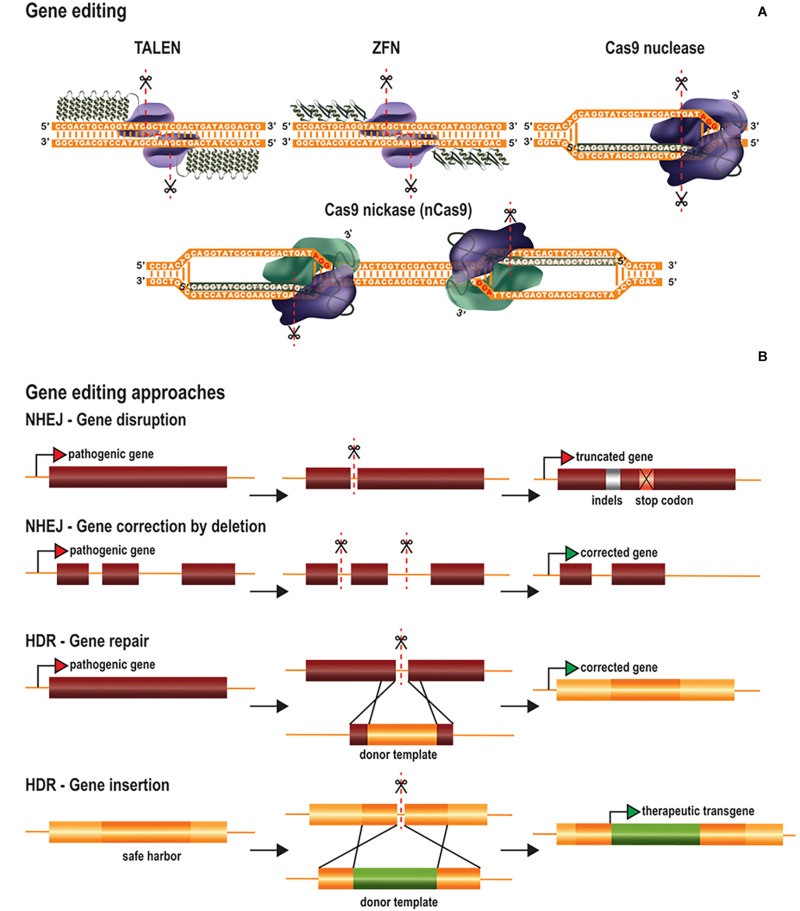 FIGURE 1