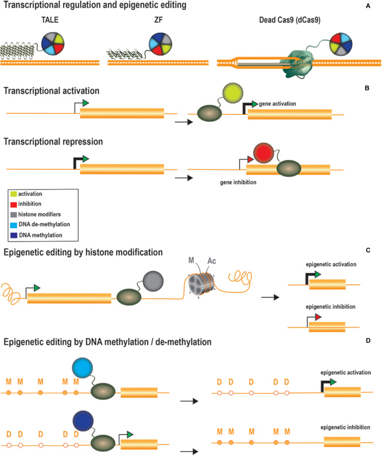 FIGURE 3