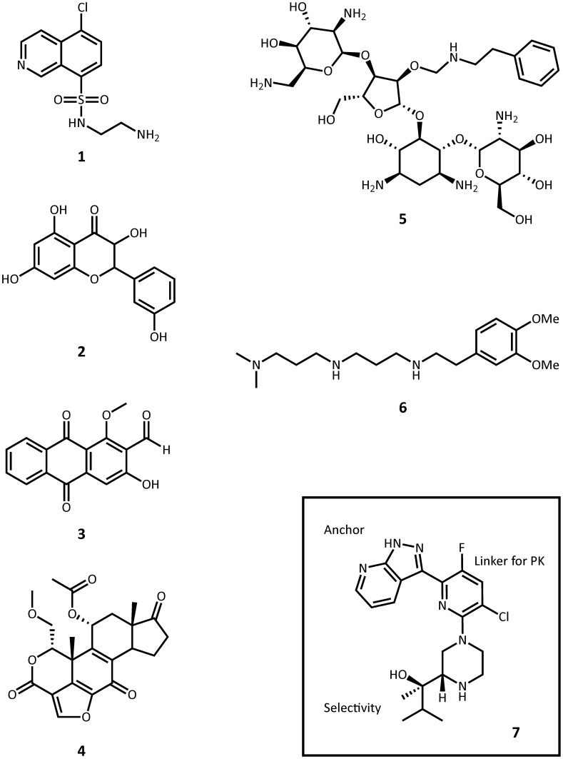 Figure 6