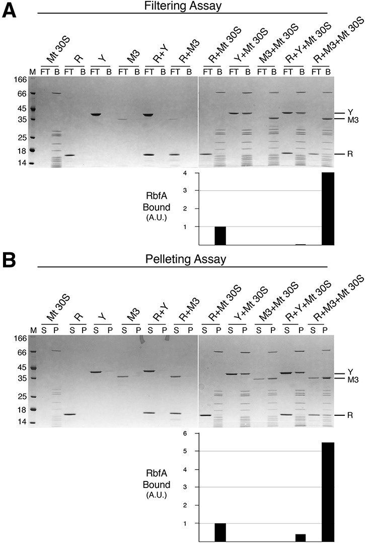 FIGURE 3.