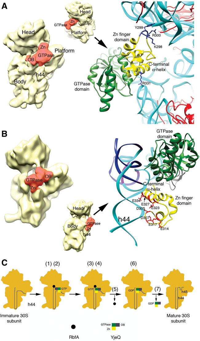 FIGURE 5.