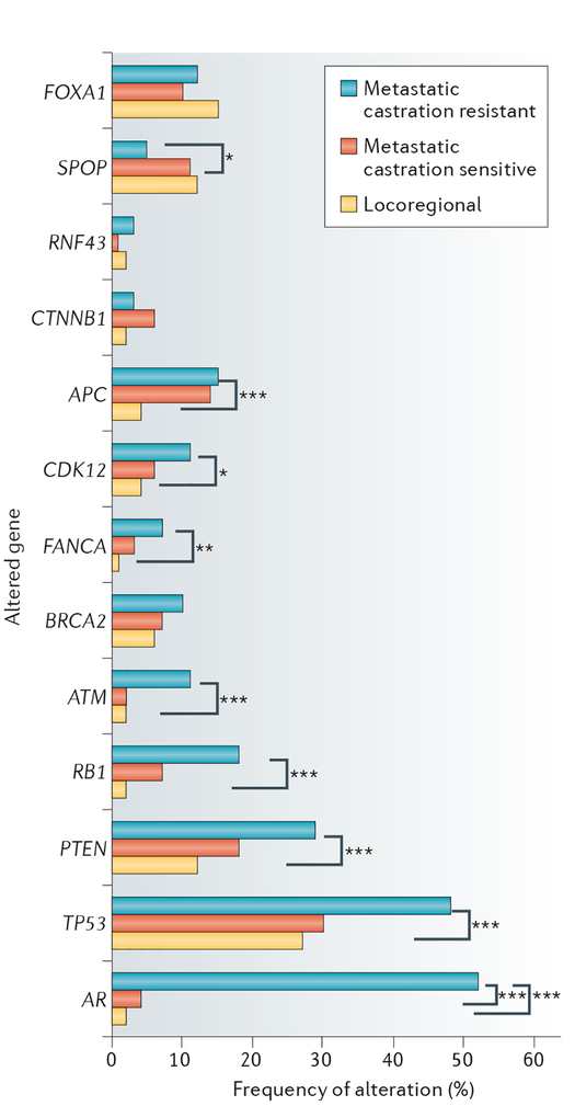 Figure 3 |