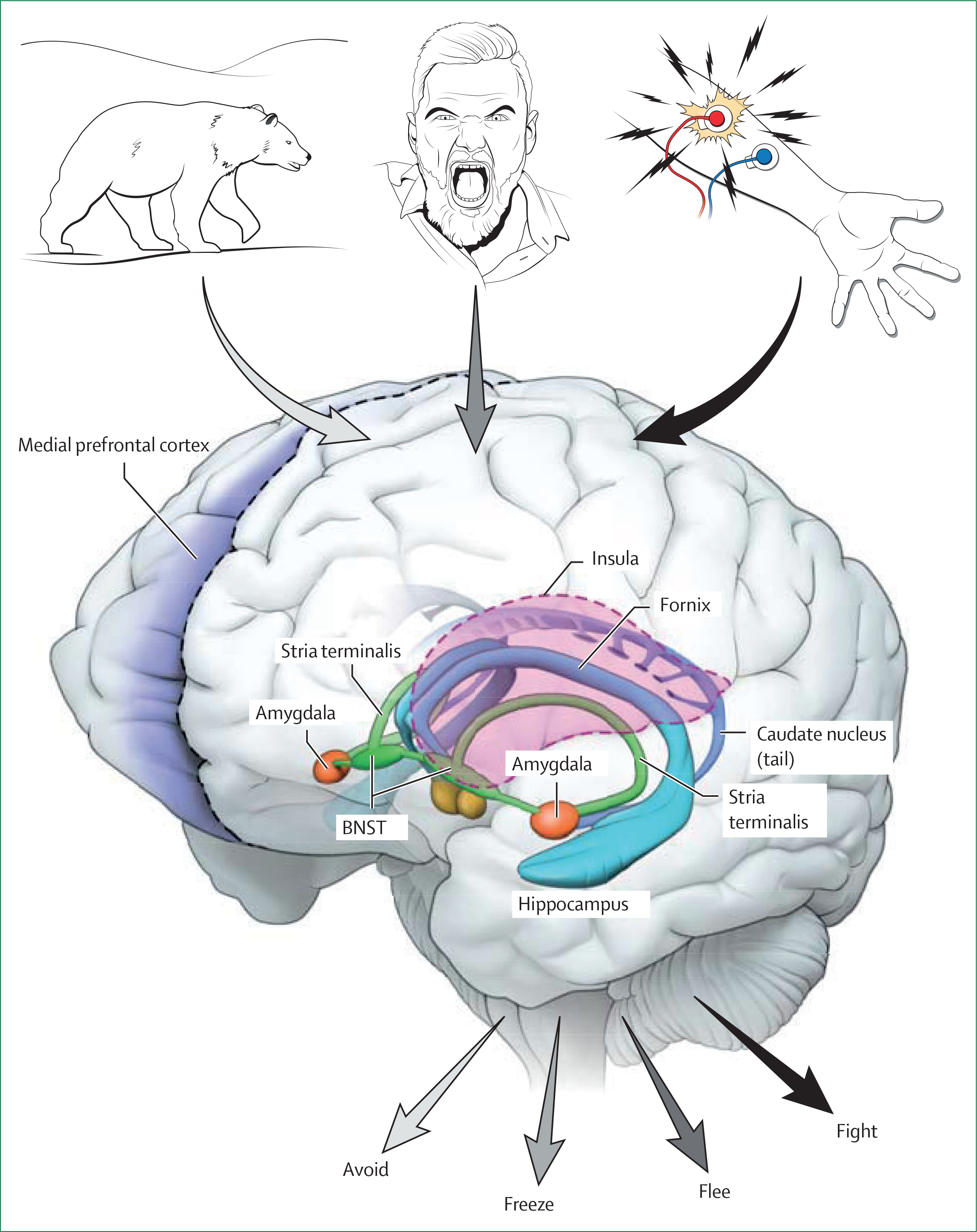 Figure 1: