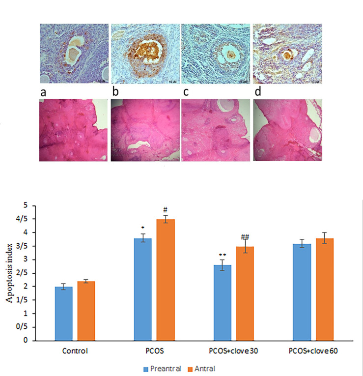 Fig 4
