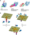 Figure 6.